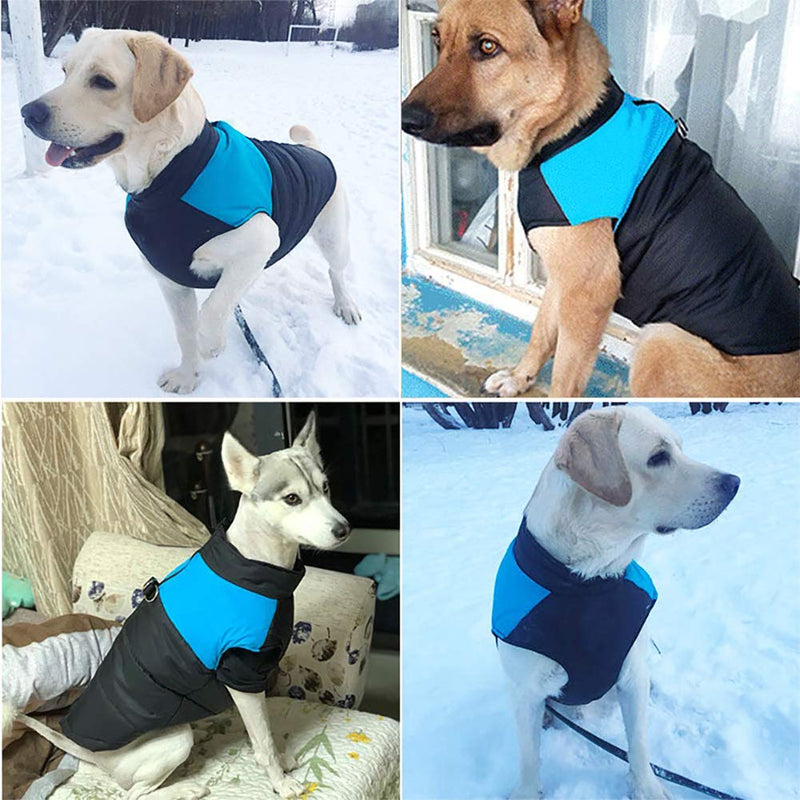 Homieco Waterproof Dog Coat, Pet Dog Winter Coat, Warm Pet Jacket Waterproof Clothes for Pet Dog - Blue S - PawsPlanet Australia