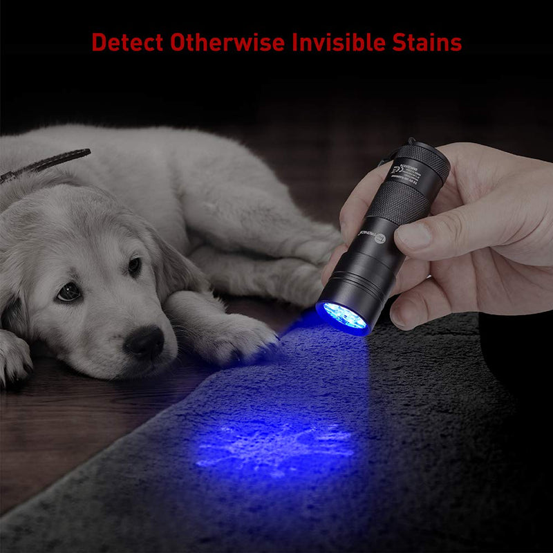[Australia] - TaoTronics Black Light, 12 LEDs 395nm UV Blacklight Flashlights Detector for Pets Urine and Stains  with 3 Free AAA Batteries 