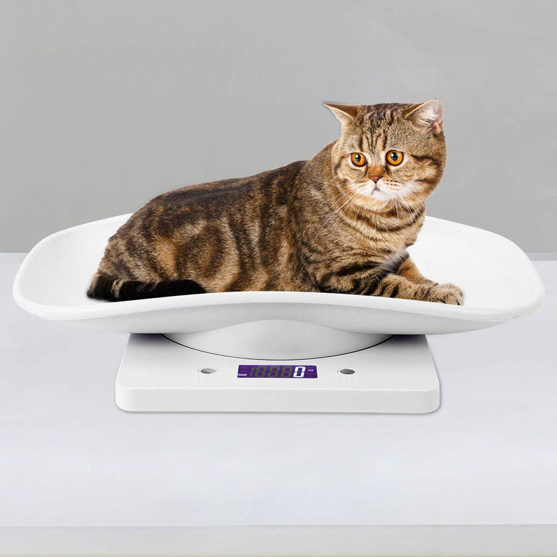 10kg/1g Kitchen Electronic Scale Small Mini Pet Scale Digital Small Pet Weight Measure Pets Accurately for Cats Dogs Measure Tool - PawsPlanet Australia