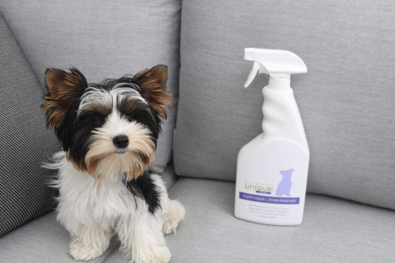 [Australia] - Unique Puppy Odor + Stain Remover 24 oz Trigger Sprayer 