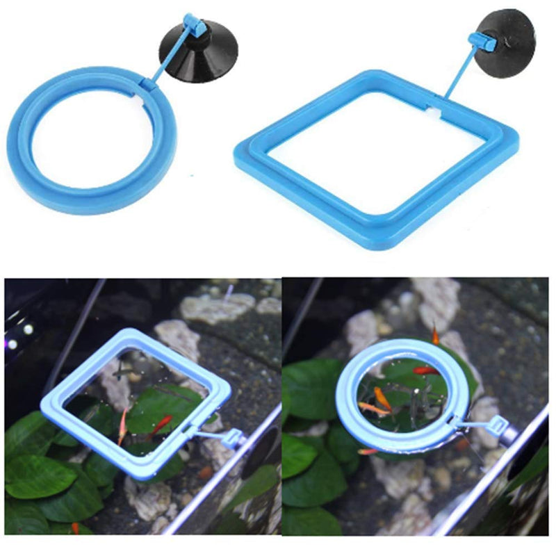 Powerer 4 Pcs Fish Feeding Ring Square and Round Aquarium Fish Feeding Ring Floating Food Feeder, with Suction Cup - PawsPlanet Australia