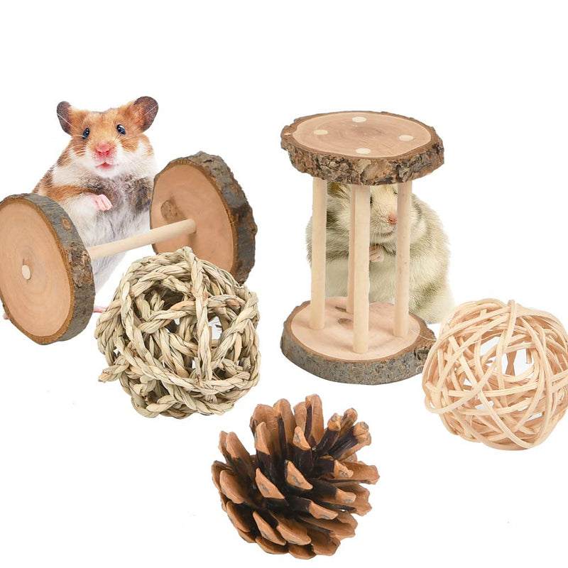 OFNMY Hamster Chew Toys Set of 12 Gerbil Rat Guinea Pig Chinchilla Chew Toys Accessories Playing Molar Supplies,Natural Wooden Dumbbells Exercise Bell Roller Teeth Care Molar Toy - PawsPlanet Australia