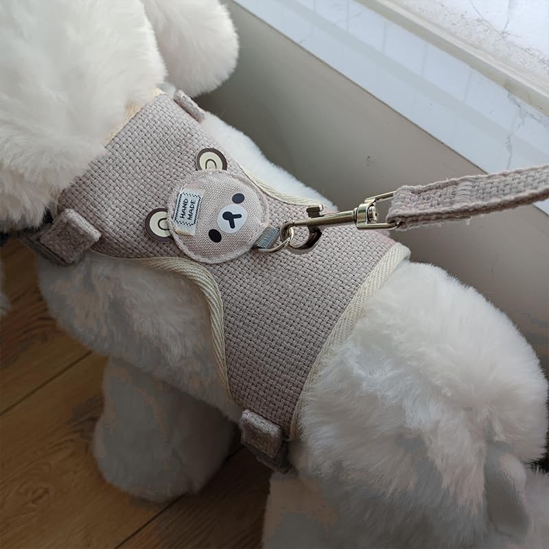 zingking 27-35 cm, 1.20 m adjustable rabbit leash, rabbit leash, rabbit accessories, cat harness set with leash, pet harness and leash for bunny cat little pet walking - PawsPlanet Australia