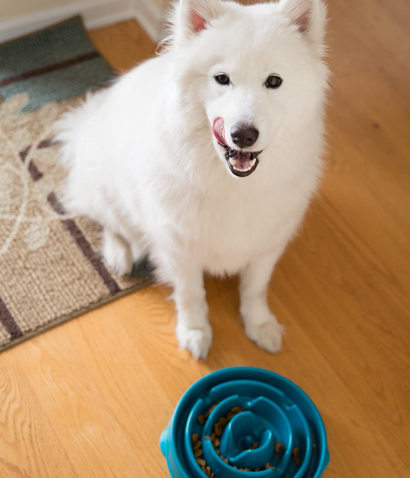 Outward Hound Fun Feeder Slo Bowl, Slow Feeder Dog Bowl, Large/Regular, Turquoise Turquoise Drop - PawsPlanet Australia