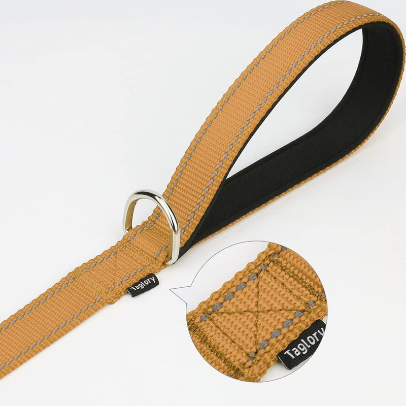 Taglory Dog Leash Small Dogs Lightweight | Double-sided reflective | Padded handle | Up to 10kg | 1.8mx 2cm | Brown 1.8 mx 2.0 cm (pack of 1) - PawsPlanet Australia