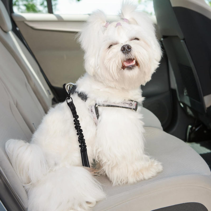 Lollanda Dog Car Seat Belt, Dog Car Seat Belt Adjustable, Dog Seat Belt for Car with Elastic Shock Absorption and Strong Carabiners Black - PawsPlanet Australia