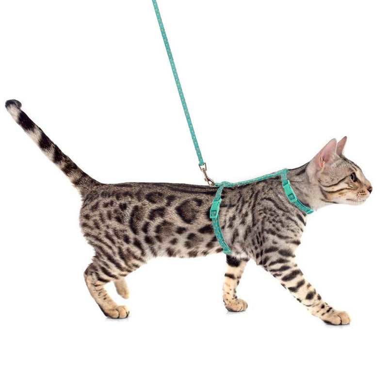 [Australia] - SCIROKKO Cat Harness and Leash Set - Escape Proof Adjustable for Outdoor Walking with Safety Buckle Green 