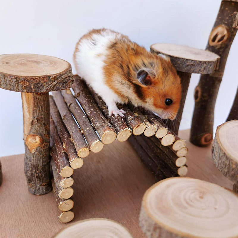 Tfwadmx Wooden Hamster Bridge, Small Animals Climbing Ladder Activity Set Platform Ramps Playground Toys for Mouse Dwarf Hamster Gerbil Rat Sugar Glider Syrian Hamster - PawsPlanet Australia