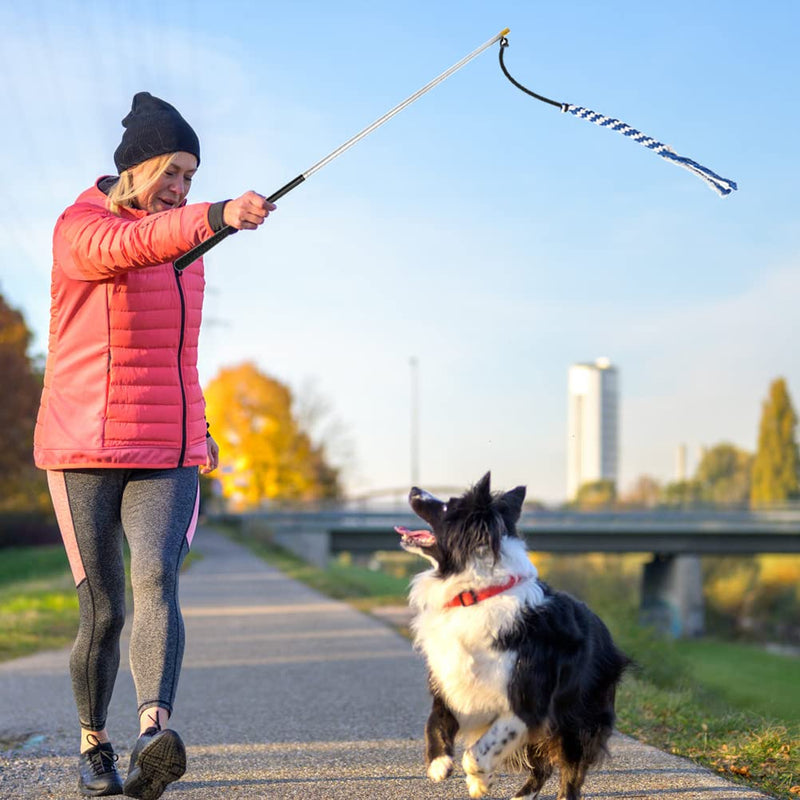 EXPAWLORER Extendable Dog Flirt Pole for Training & Chasing - Interactive Retractable Puppy Teaser Wand with 1 Plush Squeaky Octopus Dog Toy and 2 Dog Rope Toys Green - PawsPlanet Australia