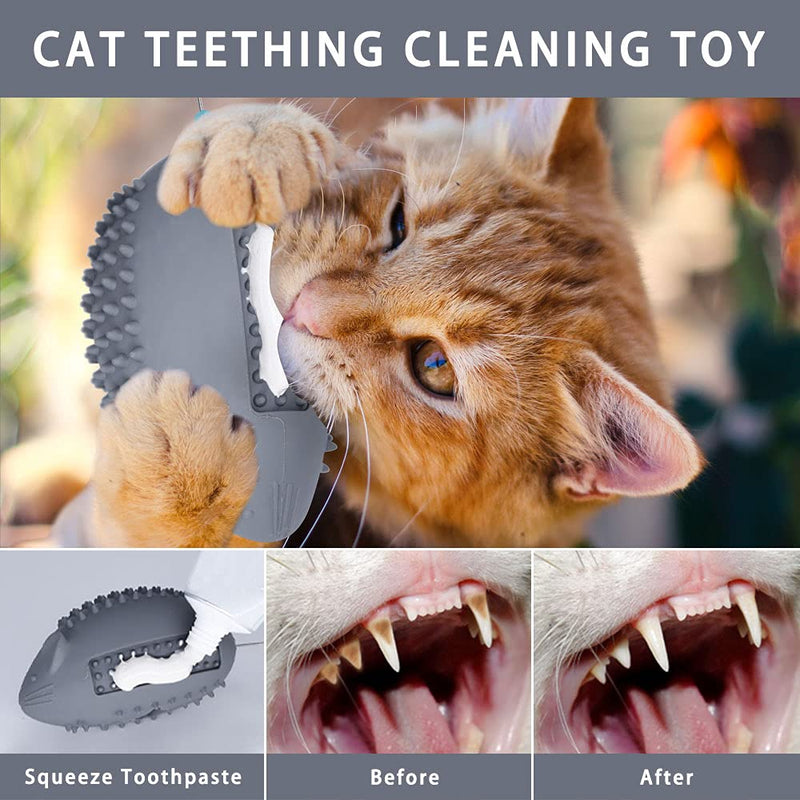 Petdexon Interactive Cat Toys, Pro 6 in 1 Catnip Toys for Indoor Cats, Rubber Cat Chew Toys for Teeth Cleaning, Durable Mouse Cat Feather Teaser Toys for Hairbrush Massage, Scratching, Stuffing Foods Grey - PawsPlanet Australia