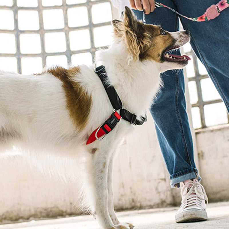 [Australia] - ZEE.DOG | Soft-Walk Dog Harness | No-Pull Dog Harness | Easy to Use Harness for Dogs Fatboy Medium 