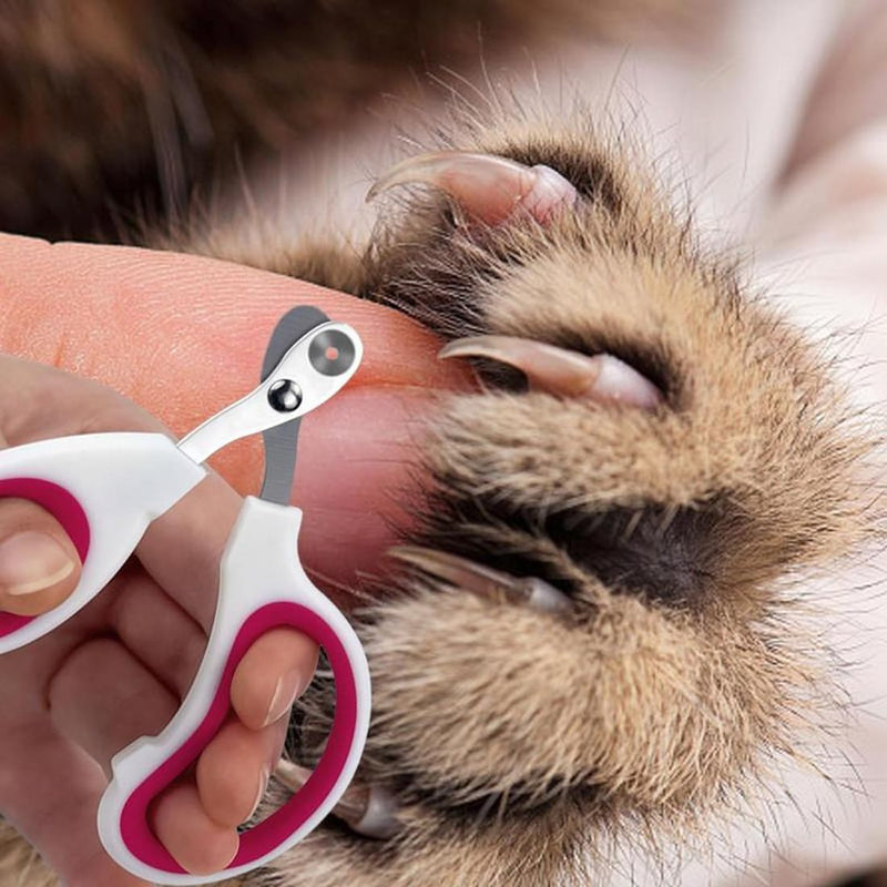 BCBF 2 pieces cat claw scissors, professional claw scissors for cat nail clippers, pets, cat accessories, cat nail clipper, ideal for small dogs, puppies, cats - PawsPlanet Australia
