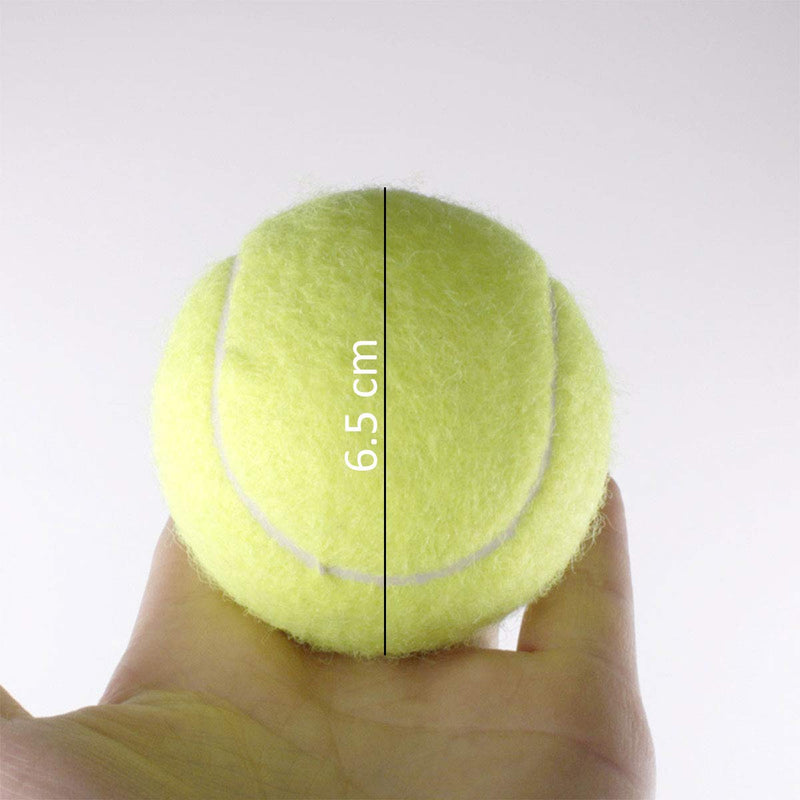 BSTHP Tennis Balls,Training Sport Play Cricket Dog Toy, 3 Pcs - PawsPlanet Australia