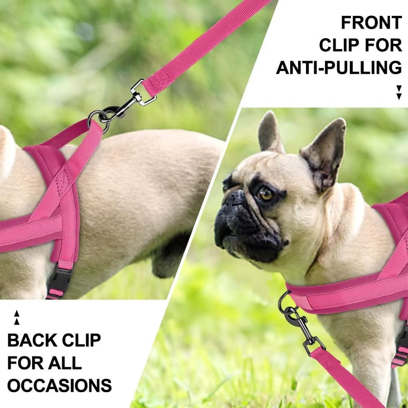 Beirui No Pull Dog Harness for Small Dogs Puppies, Soft Neoprene Quick Fit Harness with Durable Front Clip & Back Clip, Lightweight Easy for Daily Walking (Hot Pink,S) S:Chest 17-21", Neck 12" Hot Pink - PawsPlanet Australia