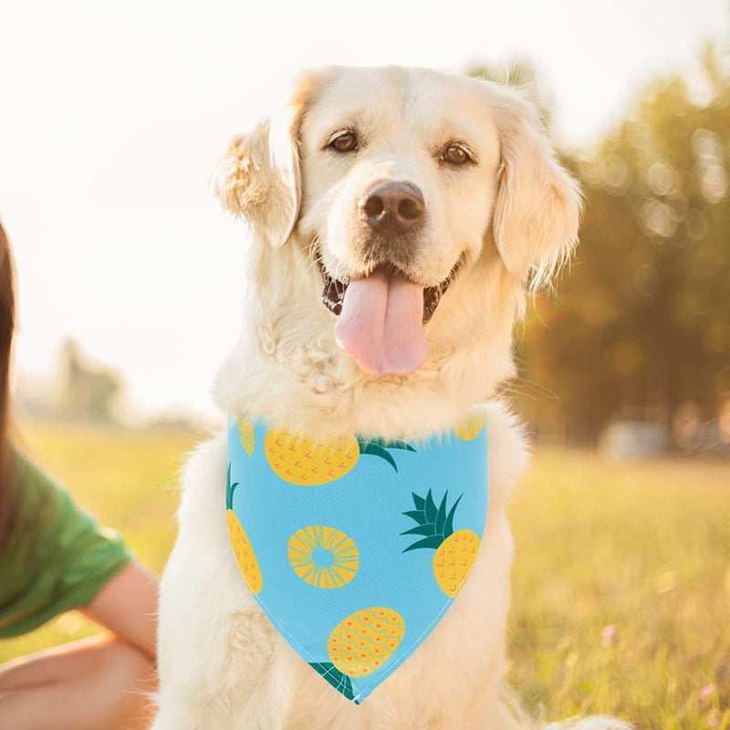 EXPAWLORER Dog Cooling Bandana Set - 4 Pack Summer Triangle Scarfs Bibs with Cute Fruit Patterns for Small Medium Large Dogs - PawsPlanet Australia