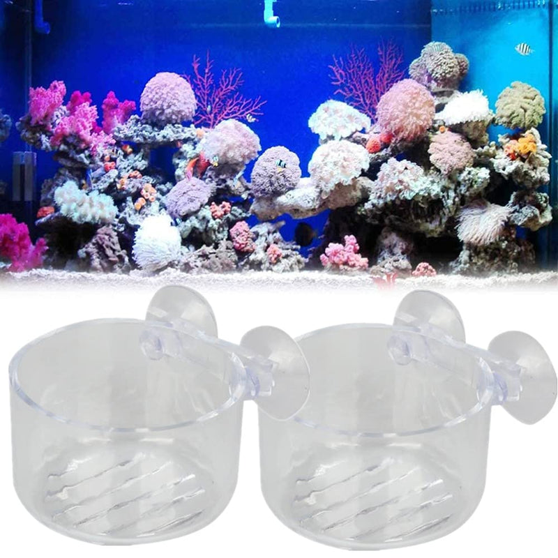 ZhanshuidefaQ 2 Pcs Red Worm Feeder Acrylic Fish Tank Plant Shrimp Feeder Bowl Floating Bloodworm Water Food Dish Fish Feeding Cup with Suction Transparent Fish Feeding Cup Tank for Aquarium Reptiles - PawsPlanet Australia