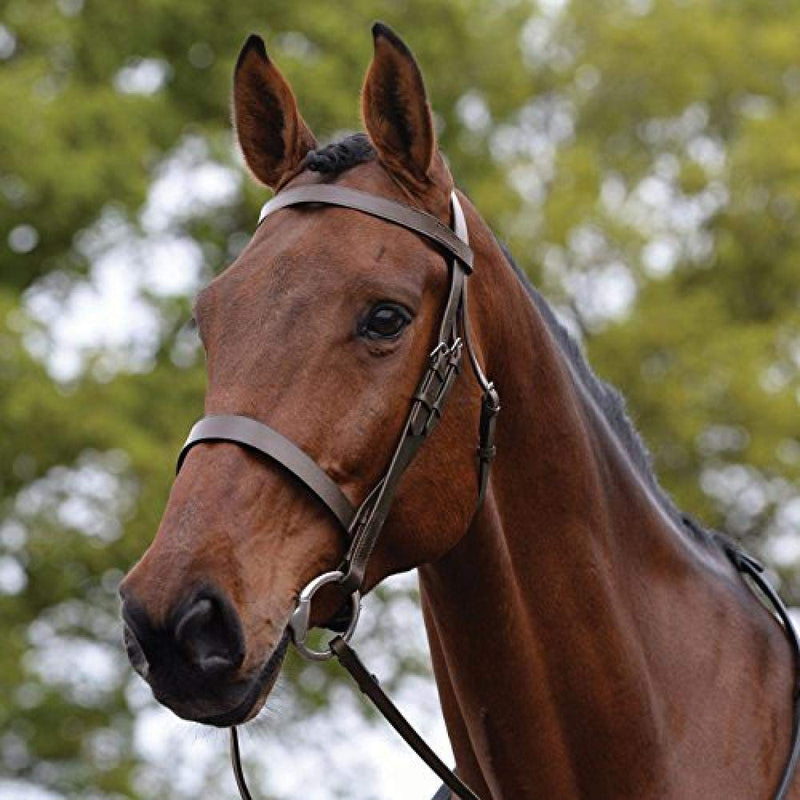 Kincade Hunt Cavesson Bridle II - Brown Black Full - PawsPlanet Australia