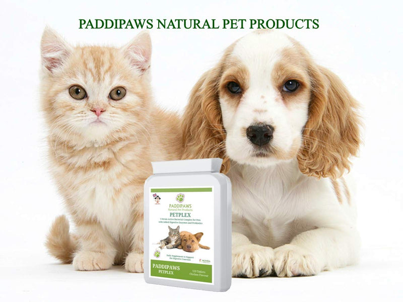 PADDIPAWS Petplex Active Bacteria supplement with added Digestive Enzymes and Prebiotics to provide the ultimate digestive aid and healthy gut bacteria Probiotic Supplement for Dogs and Cats - PawsPlanet Australia