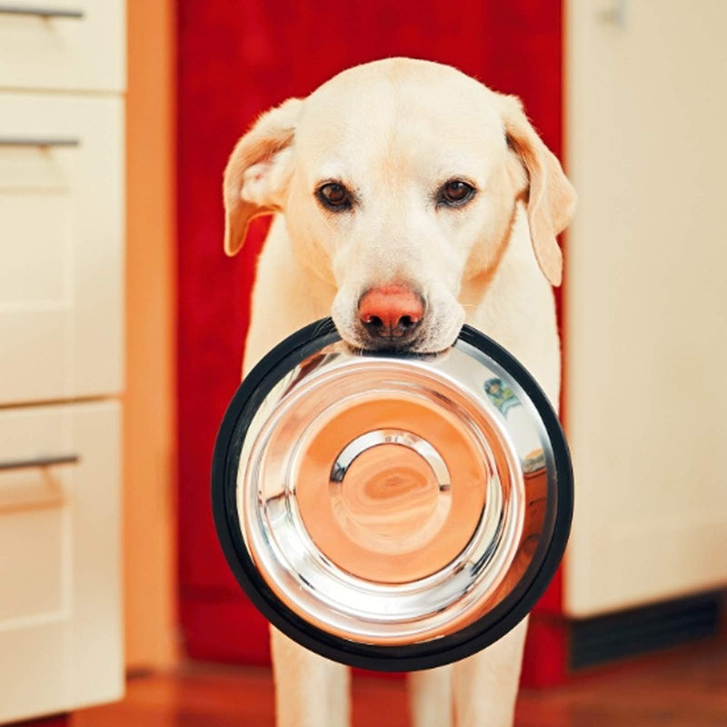 Zoiibuy 3 Piece Cat Bowl Stainless Steel Pet Bowls for Cats Anti-slip Non-spill Cat Food Water Bowl set Multifunctional Cat Feeding Bowls for Kitten Puppy Dog - PawsPlanet Australia