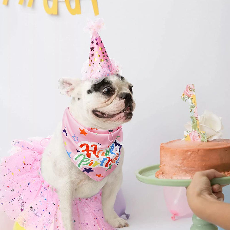 Dog Birthday Bandana Girl - Birthday Party Supplies -Tutu Skirt Hat Scarf Set for Pet Puppy Cat Girl, Pink Outfit for Birthday Party Cone Hat&Scarf&Skirt - PawsPlanet Australia