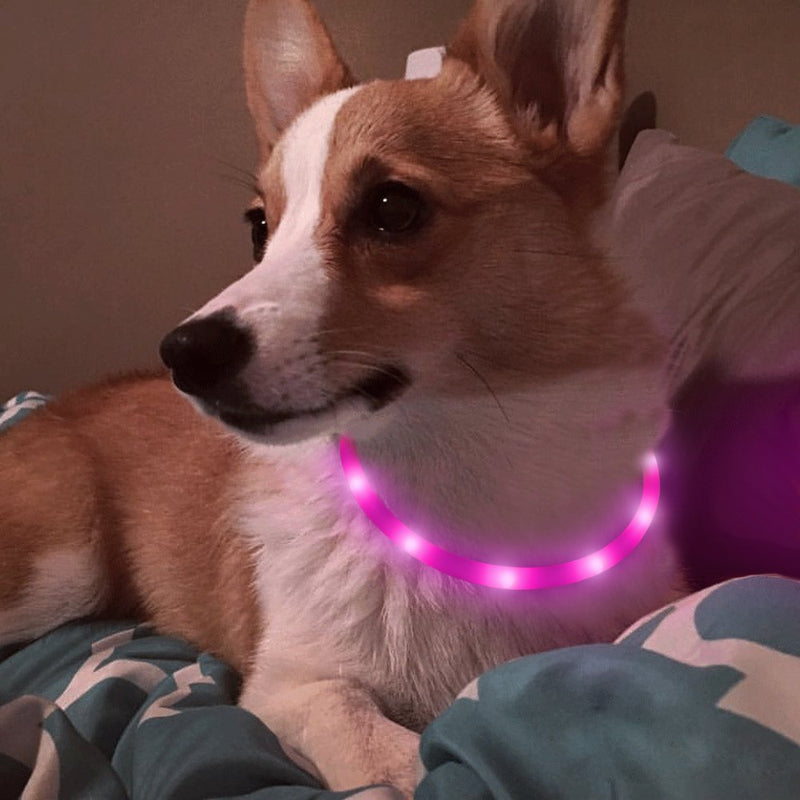 [Australia] - BSEEN Led Dog Collar USB Rechargeable Glowing Pet Safety Collars Water Resistant Light up Cut to resize to fit 11"-27" for Small, Medium, Large Dogs Pink 