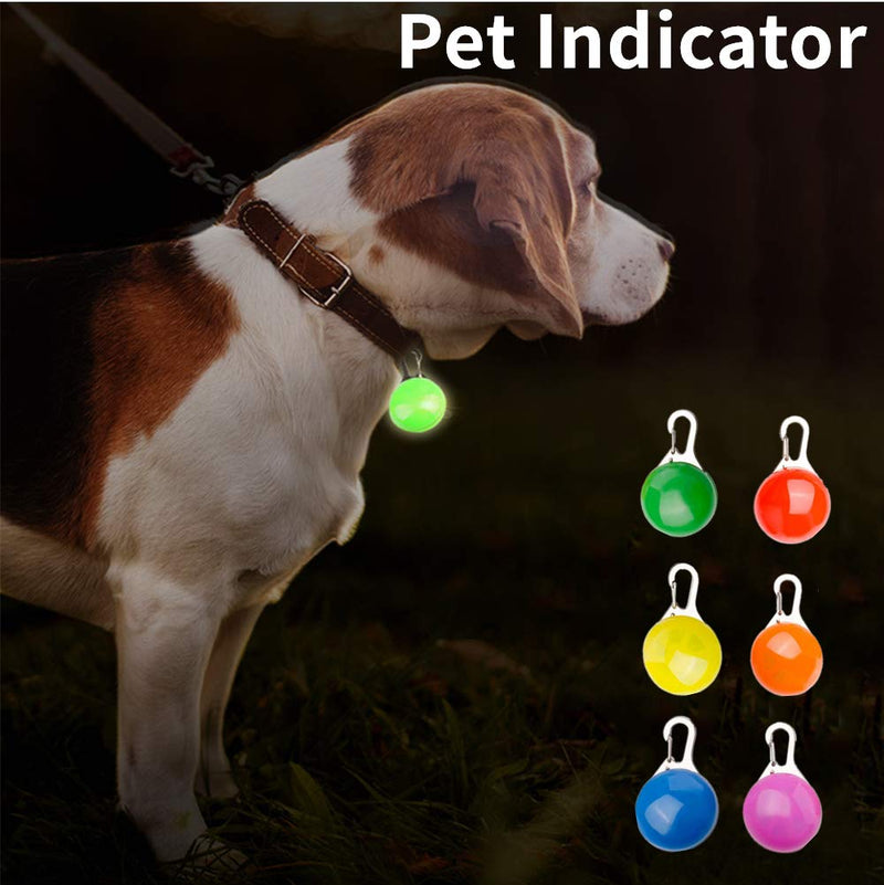 Cat dog Collar Light, 6 PCS Pet Cat Dog Collar Light, Waterproof LED Safety Light of Dogs, Dog Lights, Clip On Pet Dog Collar LED Light, 3 Flashing Modes and Stainless Steel Clip, Assorted Colors Black - PawsPlanet Australia