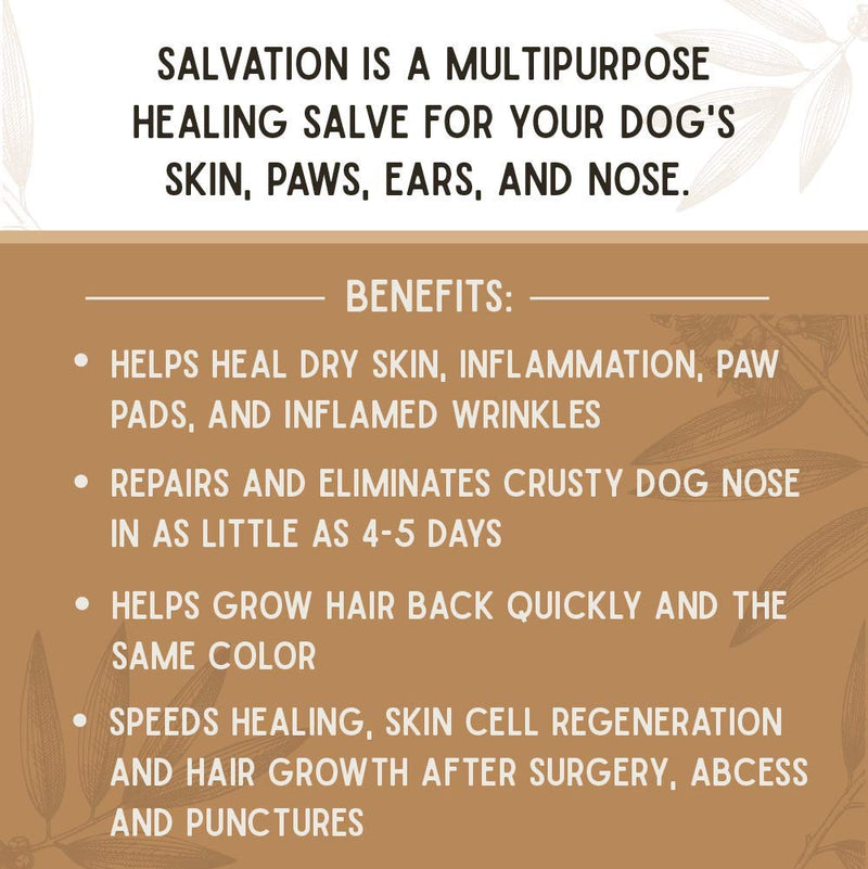 Farm Dog Naturals - Salvation Skin Care & Crusty Nose Balm for Dogs 2 oz - PawsPlanet Australia