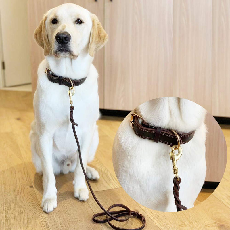 [Australia] - DAIHAQIKO Leather Dog Leash Braided 4ft/6ft Heavy Duty Training for Large Medium Small Breed Dog Brown Standard Pet Leashes 4FT * 1/2" 