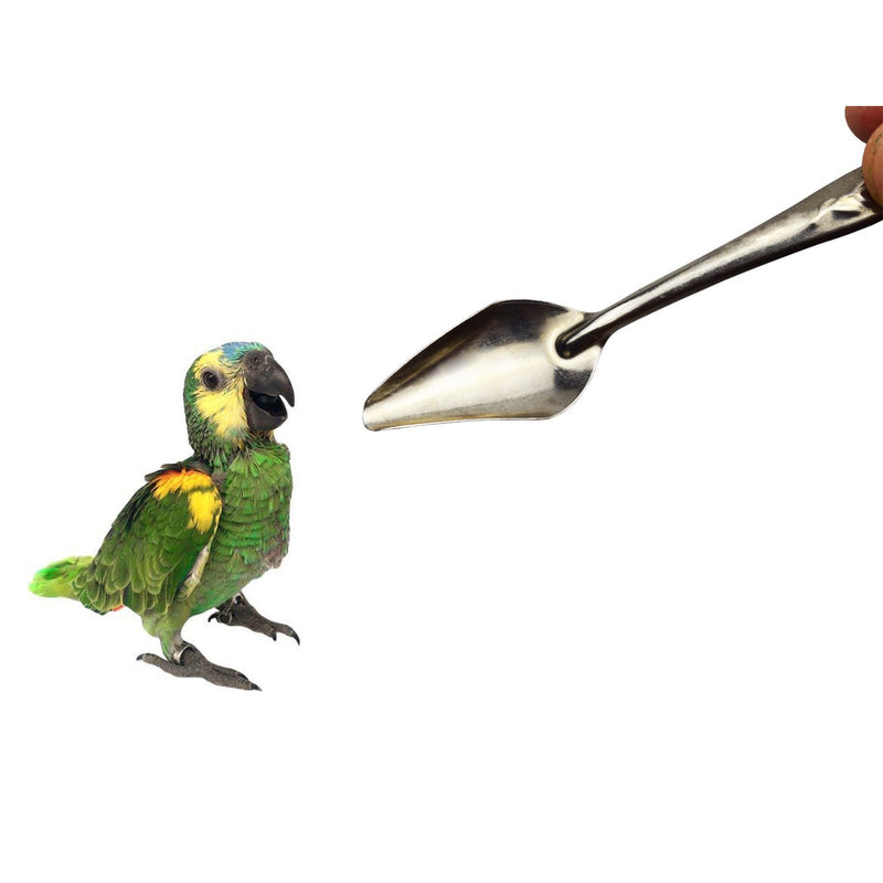 [Australia] - Motanar 4.7" Bird Parrot Stainless Steel Metal Feeding Spoon,Special Feeding Scoop Medicine Spoons Hand Feeding Spoons for Peony Cockatiel Parrot 2 PCS 