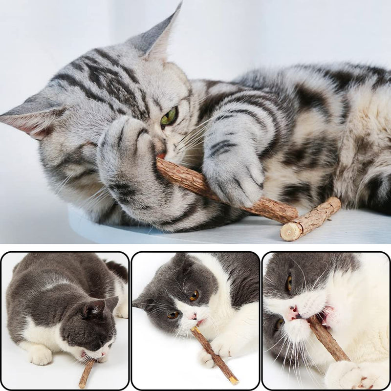 Catnip stick, 20 pieces XiXiRan dental care cat sticks, Matatabi cat chew sticks, cat chewing sticks, catnip sticks toys, pure natural catnip toys, dental care - PawsPlanet Australia