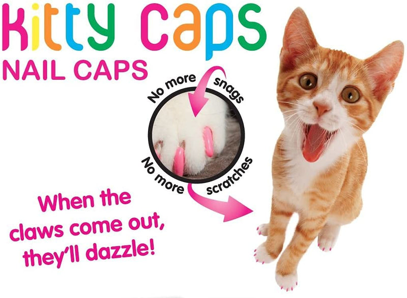 Kitty Caps Nail Caps for Cats | Black with Gray Tips & Baby Blue, Available in Multiple Sizes | Safe, Stylish & Humane Alternative to Declawing | Stops Snags and Scratches X-Small (Under 5 lbs) 3-Pack - PawsPlanet Australia