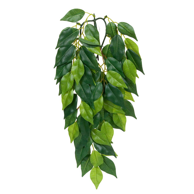 Exo Terra Silk Ficus Plant, Medium M - PawsPlanet Australia