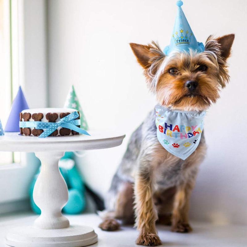 Minishark Dog Birthday Bandana Scarfs with Cute Doggie Party Hat (Blue) Blue - PawsPlanet Australia