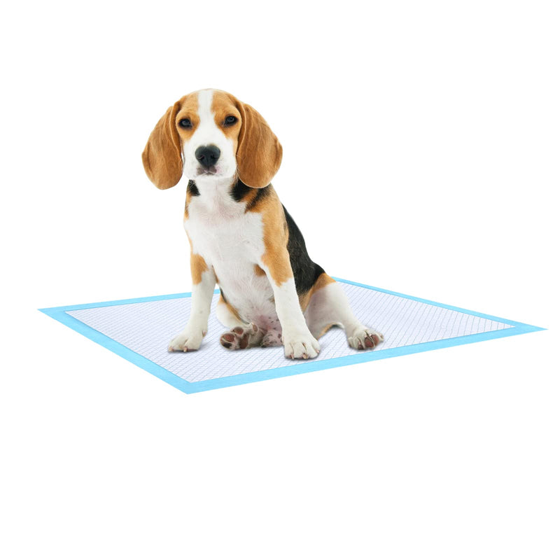 Ownpets Dog Training Pads Medium 60x45cm Leak Proof 6 Layer Pet Potty Training Pads with Quick Dry Surface for Pets Pack of 50 M:60x45cm - PawsPlanet Australia