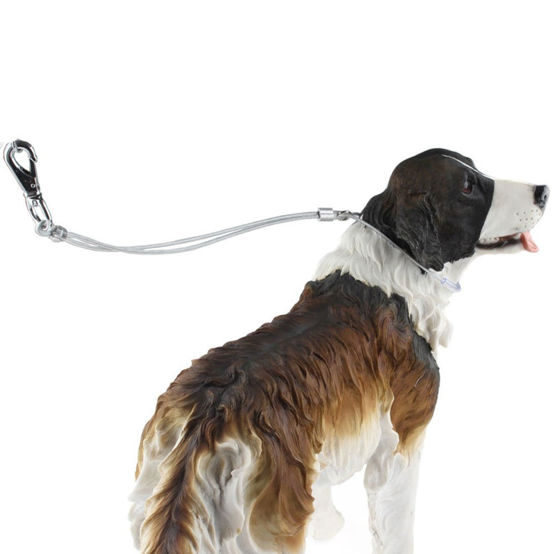 Emourspuk Dog Cable Grooming Loop Restraint Holder for Small Dogs - PawsPlanet Australia