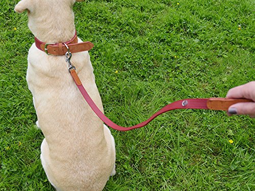 Rosewood Luxury Leather Dog Lead, 40 x 3/4 inch, soft touch red - PawsPlanet Australia