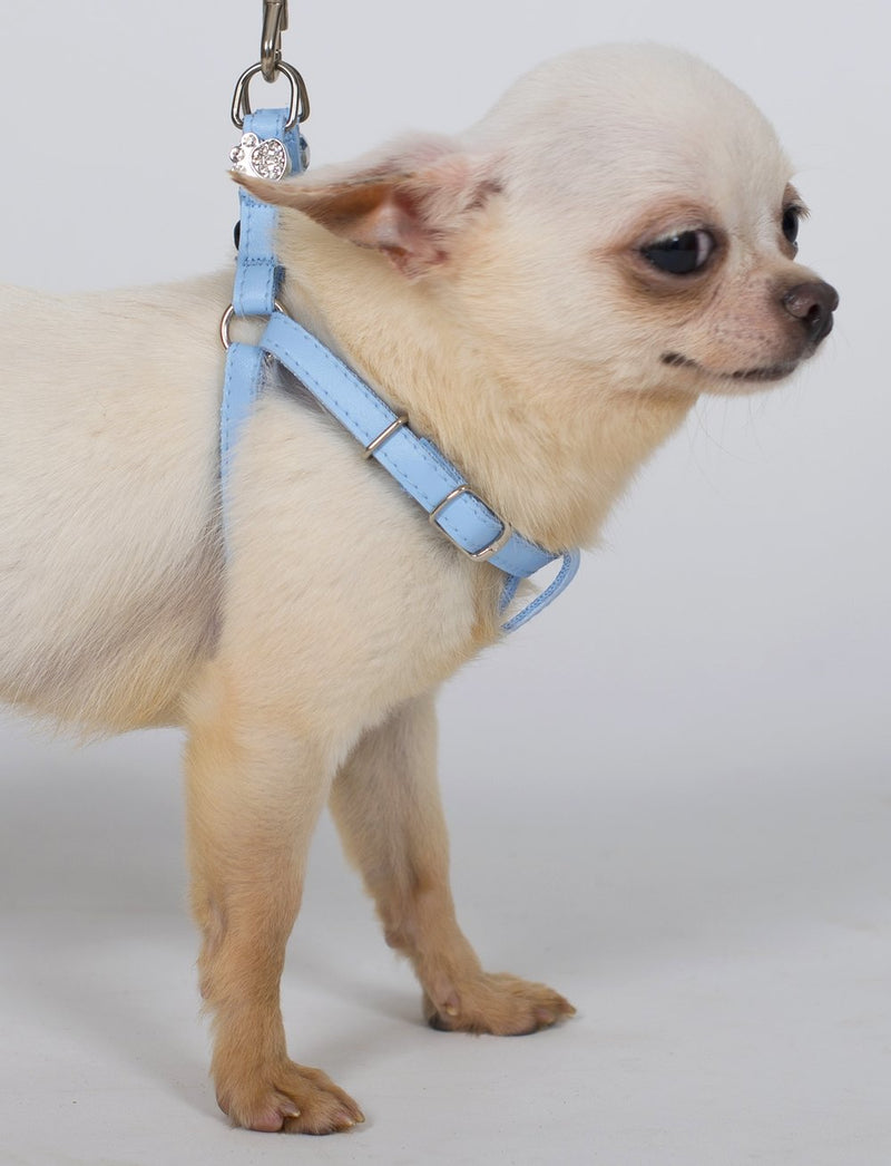 Dingo New York Harness for Small Breeds, Decorative Harness for Dog Made of Blue Leather 10833 - PawsPlanet Australia