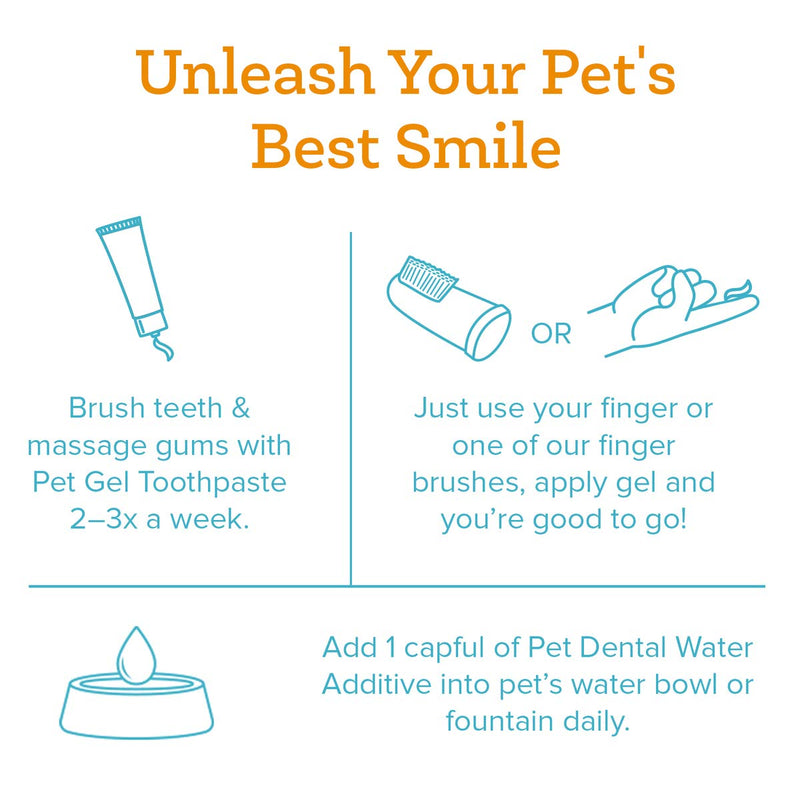 Oxyfresh Premium Pet Dental Kit for Dogs & Cats Easy Pet Fresh Breath Solution – Unique Pet Dental Water Additive and Pet Dental Gel Toothpaste Mini Kit - PawsPlanet Australia