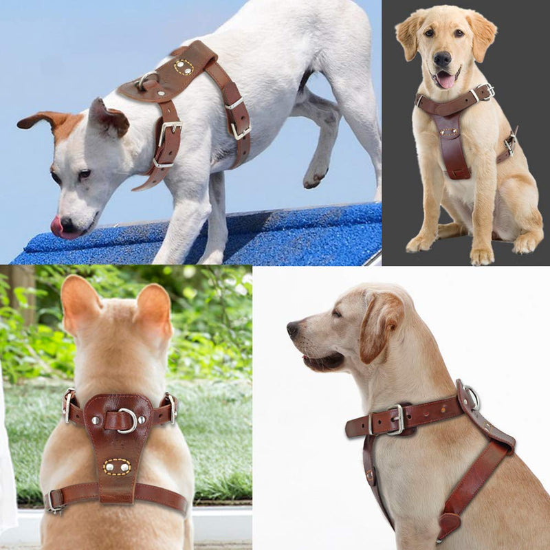 [Australia] - Beirui Genuine Leather Dog Harness Pet Training Walking Harness for Medium Large Dogs Pitbull Boxer Mastiff Chest for 24-29.5" Brown 