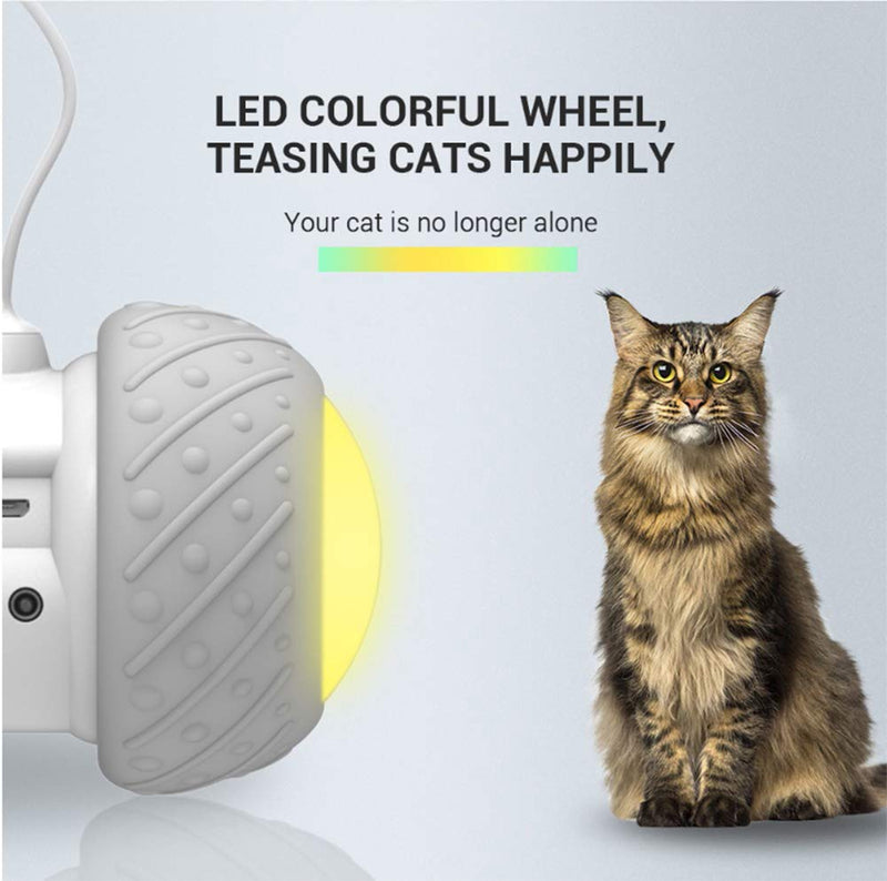 [Australia] - Interactive Robotic Cat Toys,Automatic Irregular USB Charging 360 Degree Self Rotating Ball,Automatic Feathers/Birds/Mouse Toys for Cats/Kitten,Build-in Spinning Led Light，Large Capacity Battery 