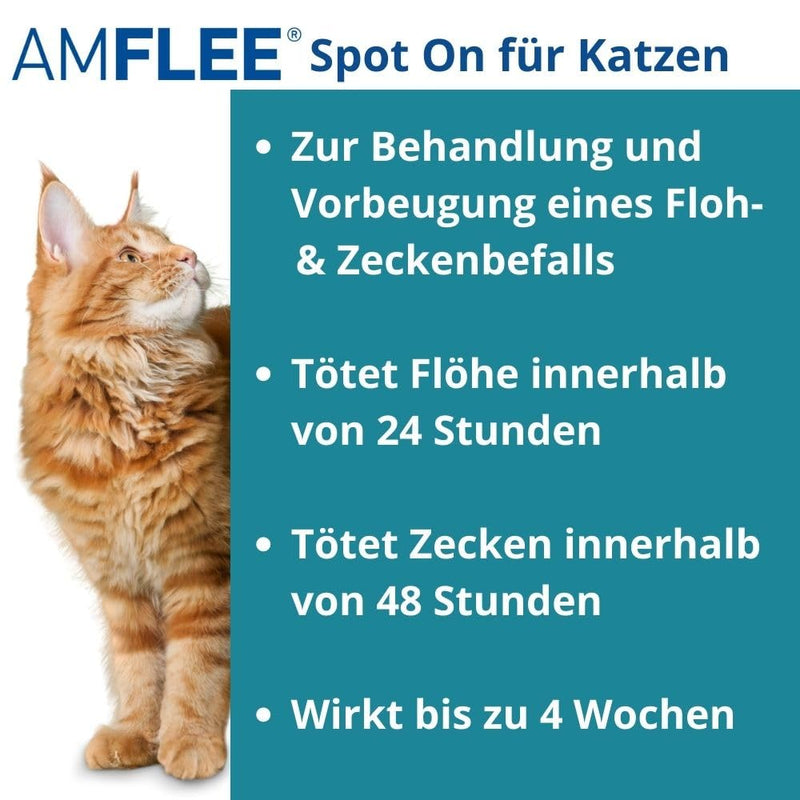 Amflee Spot On for Cats Against Fleas & Ticks, Fipronil, 50 mg spot-on solution, with 3 single-dose pipettes - PawsPlanet Australia