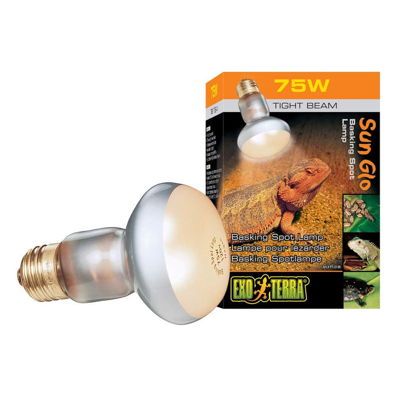 Exo Terra Intense Basking Spot Lamp, 75 W 75 Watt - PawsPlanet Australia