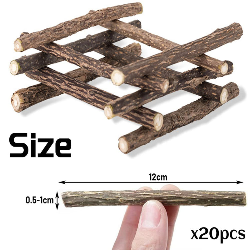 Catnip stick, 20 pieces XiXiRan dental care cat sticks, Matatabi cat chew sticks, cat chewing sticks, catnip sticks toys, pure natural catnip toys, dental care - PawsPlanet Australia