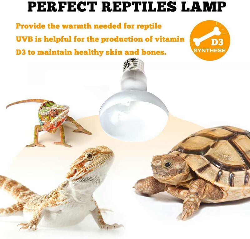 2-Pack Reptile Heat Bulb 75W, Basking Spot Heat Lamp Bulbs for Lizard, Turtle, Aquarium Snake, Reptiles, Amphibian, Chicks, Dog Heating Use. - PawsPlanet Australia