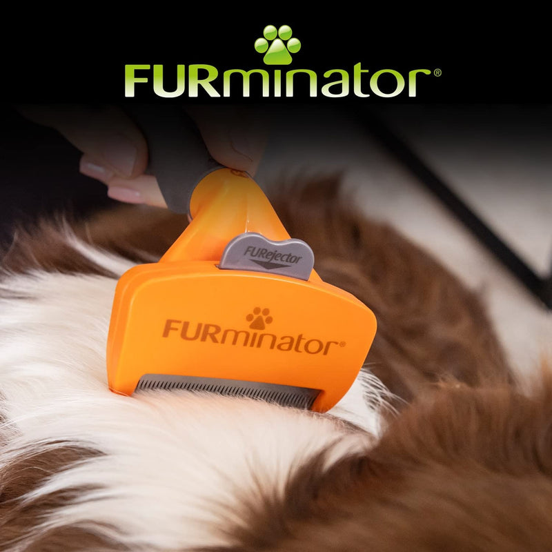 FURminator deShedding tool dog size M long hair - dog brush for medium-sized dogs to remove undercoat - improved design version 2.0 - PawsPlanet Australia
