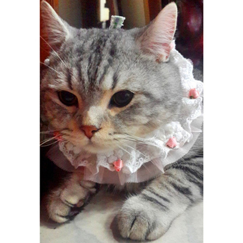 [Australia] - Banana Bear White Lace with Rose Style Pet Neckerchief,DIY hand-made Pet Collar Delicate Decorations for Cats and Dogs 