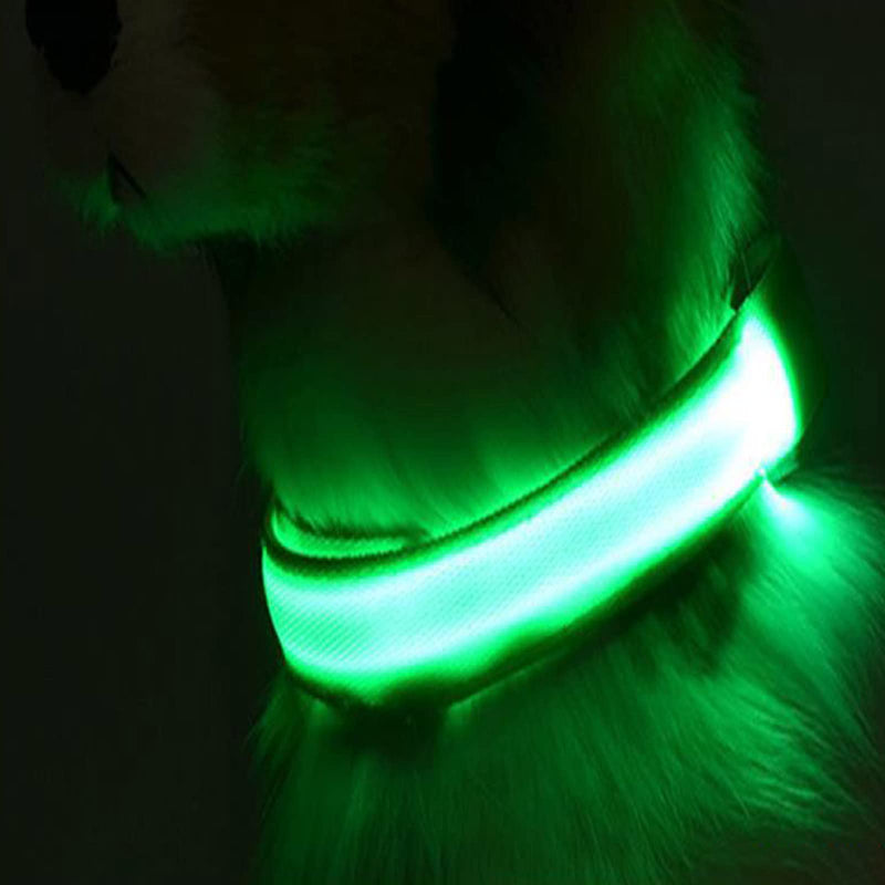 LED dog collar dogs, dog LED light collar, light collar for dogs, collar for dogs adjustable, pet safety collar with 3 lighting modes, for small medium large dogs green S - PawsPlanet Australia