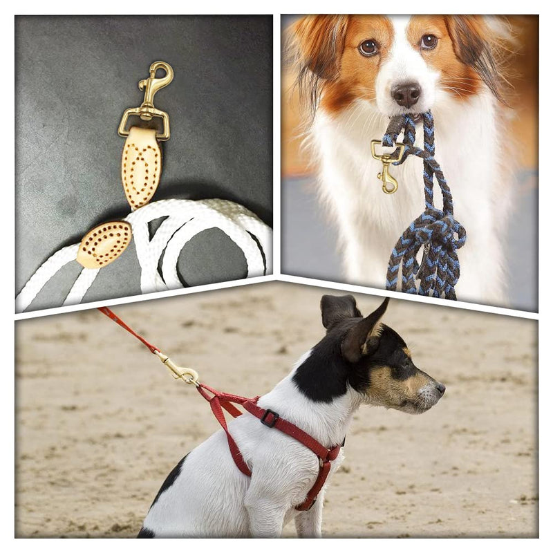 2 Pcs Heavy Duty Square Eye Brass Snap Hooks Trigger Clips Clasps Swivel Snap Hook Buckles for Dog Leash Webbing Collar - PawsPlanet Australia