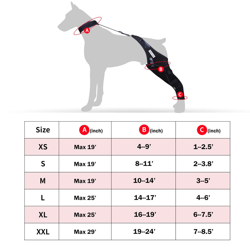 DGYAO Dog Knee Brace for ACL, Knee Cap Dislocation, Arthritis - Full Wrap - Easy Adjustable - Extra Support - Reduces Pain and Inflammation – Full Sizes Right- L - PawsPlanet Australia