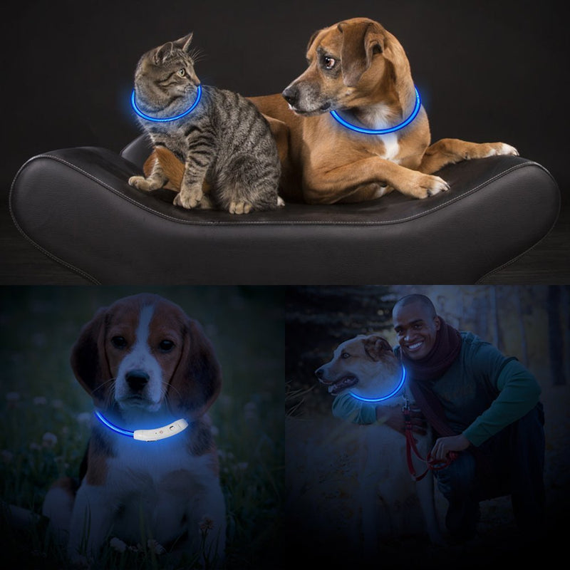 KEKU Pack of 1 PCS- LED Dog Collar, USB Rechargeable, glowing pet dog collar for night safety, fashion light up tube flashing tube collar for small medium large dogs-Blue … blue - PawsPlanet Australia